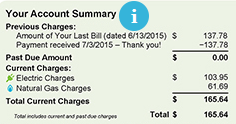 PSE example bill