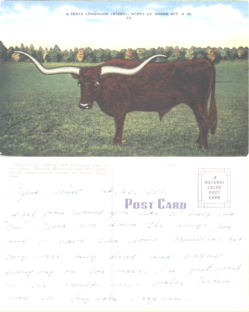 Texas Longhorn - Corpus Christi, Texas Feb. 27, 1952. Not posted. George Vautier & Jim were here with their work on the dredge with the U.S. Army Corp of Engineers.