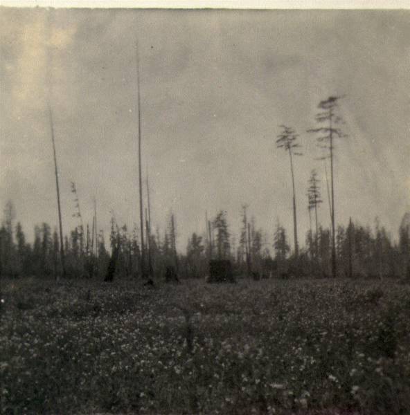 On the back is written, "Vautiers Pea Farm" This was probably taken on George Vautier Sr's farm in Sequim. My dad called a "stump farm."
