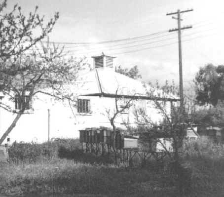 Richmond Salesian Junior Seminary bee hives 1957